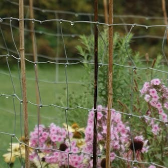 perennapenkki verkkoaita perennapenkki verkkoaita